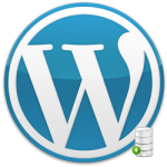 Review Of WordPress Backup Solutions