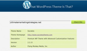 What WordPress Theme Is That Screenshot